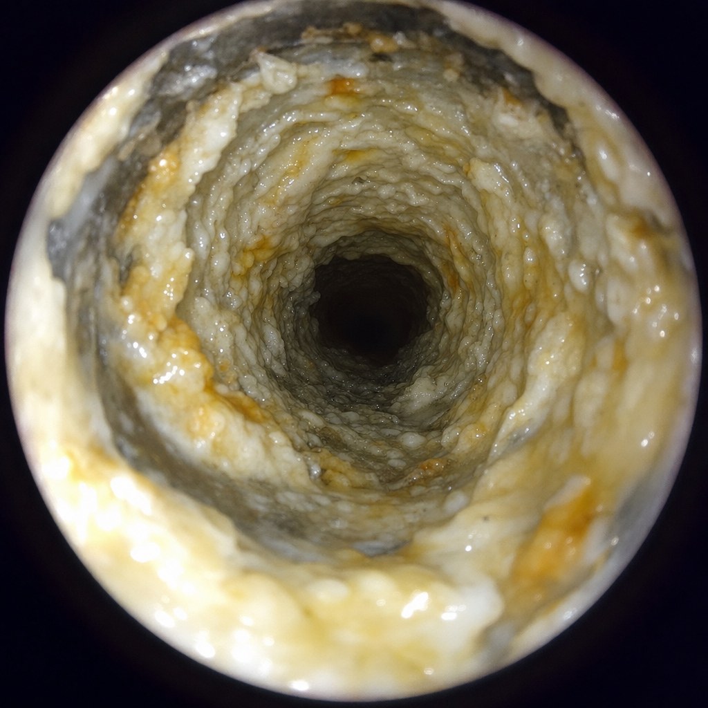Camera view of grease coating inside a kitchen drain
